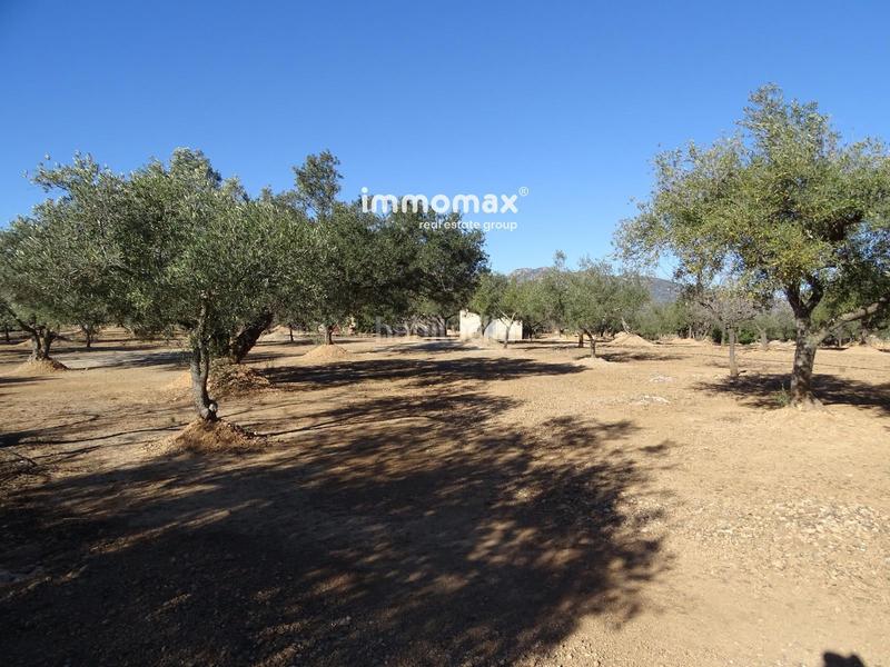 Foto 8cffcceb-a94a-4345-989d-65fa48733afd. Residential plot in Aldover