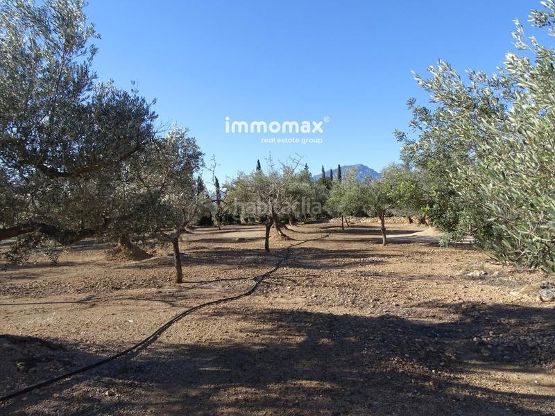 Foto c4bd9ece-eee5-4cea-8156-c811da16cd5a. Residential plot in Aldover