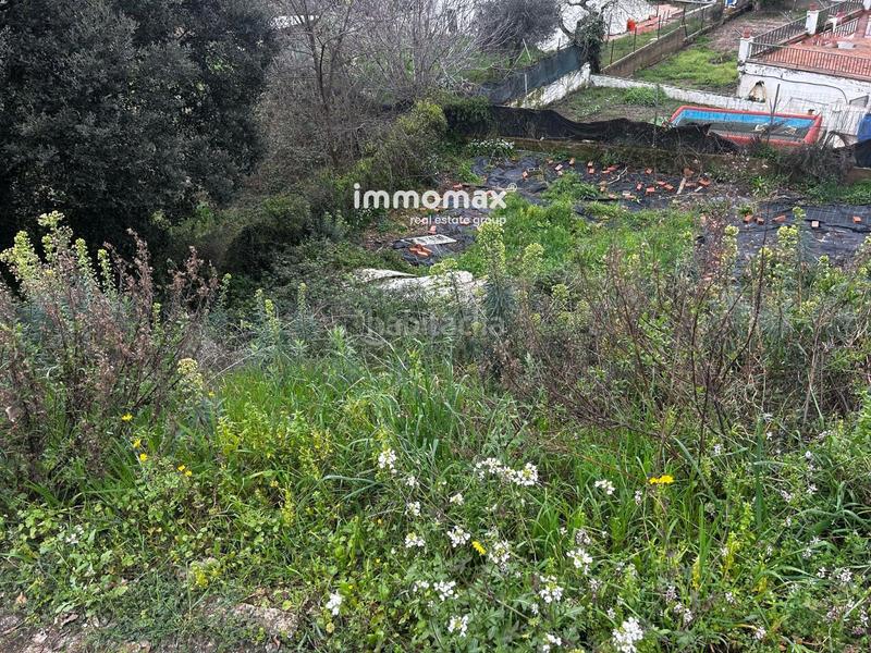 Foto 0542ad3e-9a17-428f-9477-03d20b315296. Finca rústica a Bigues i Riells del Fai