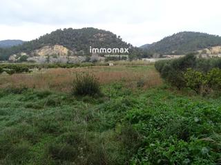Rural plot  21. Finca rústica en benifallet