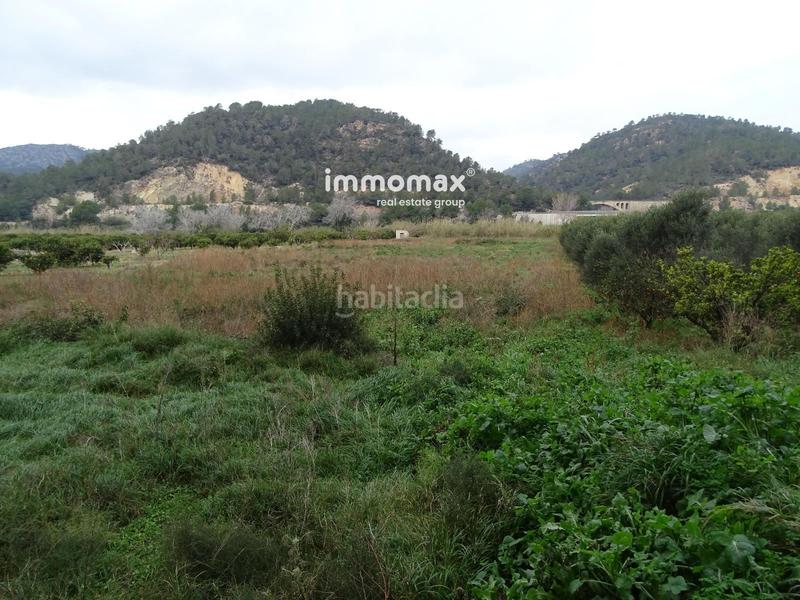 Foto b65a0182-5299-48bc-a13e-b957bf4cf495. Finca rústica a Benifallet