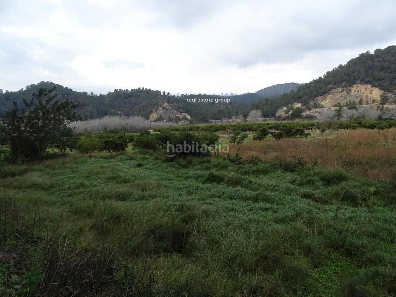 Foto c4b0617f-38c7-4f44-bfce-d6cfb97fd48a. Finca rústica a Benifallet