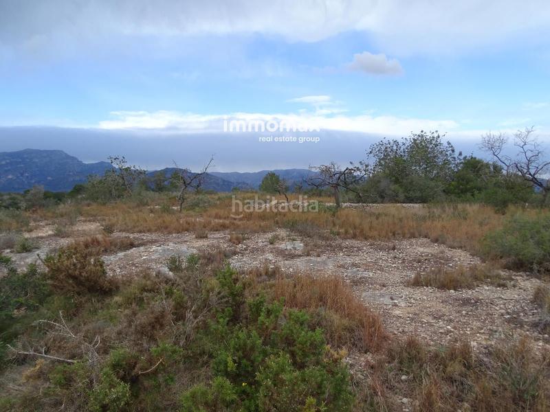 Foto 0be5023e-153e-4185-b024-fe3a5edd367d. Rural plot in Roquetes