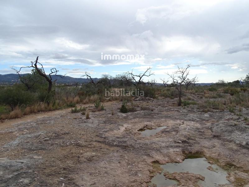 Foto 0dabe588-13ea-48da-be90-dae0774774d0. Rural plot in Roquetes