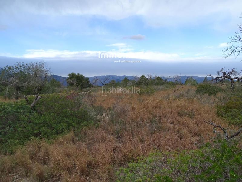 Foto 1f0ccefc-021b-4bb3-a8e9-615954592494. Rural plot in Roquetes