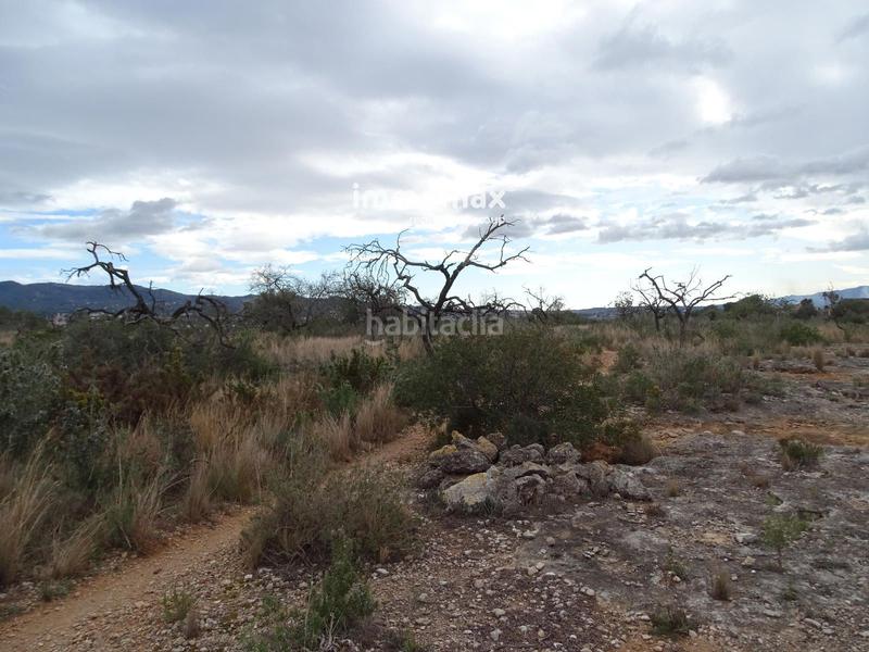 Foto 23d33489-bf5c-4b19-939f-e32cf2a48612. Rural plot in Roquetes