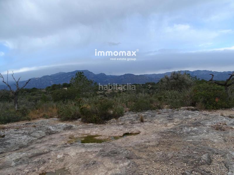 Foto 34a21276-ae9d-4a0a-87dd-9ee6e4f8435a. Rural plot in Roquetes