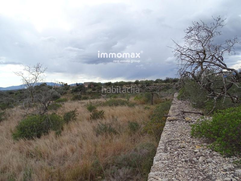 Foto 44daea82-82eb-49e6-94ee-c88fcb42c248. Rural plot in Roquetes