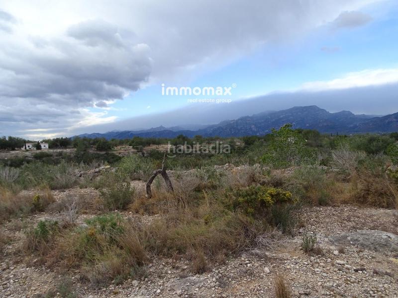 Foto 6864e884-f02d-41e8-be1c-667e714deef8. Rural plot in Roquetes