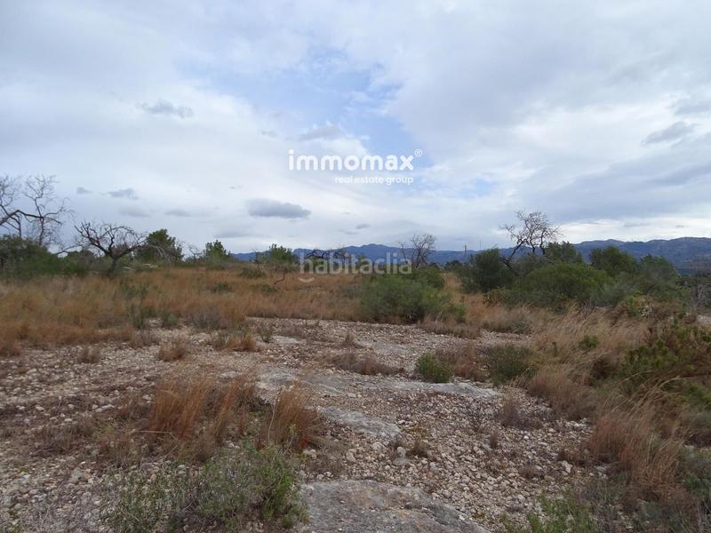 Foto c073b72c-85ed-44ef-98fc-308c6e99997f. Rural plot in Roquetes