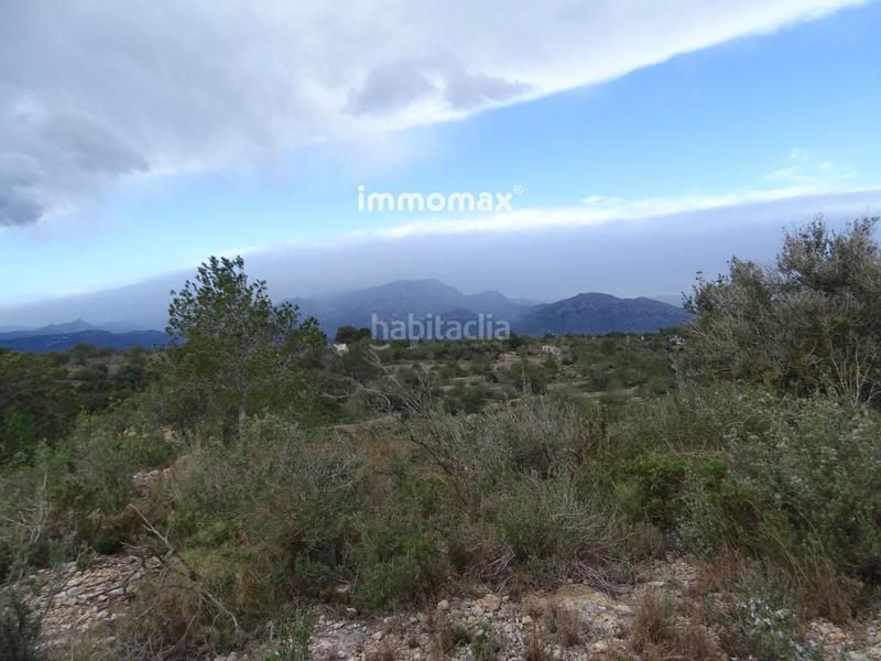 Foto d1f88f00-e5bf-497f-b618-f5485208501c. Rural plot in Roquetes