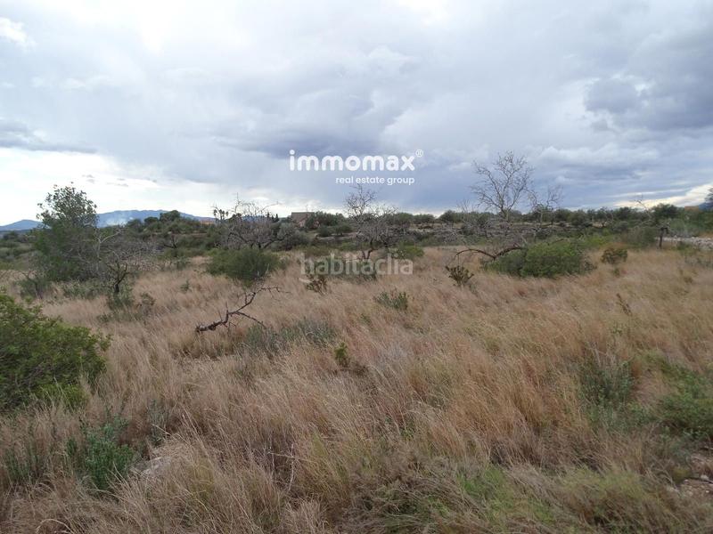 Foto d2ddda2d-82f2-4577-b64e-a82966c00b48. Rural plot in Roquetes