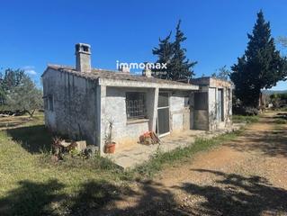 Finca rústica a Roquetes. Finca rustica en venta en roquetes