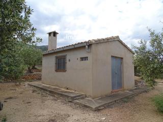 Residential Plot  16. Finca rústica en xerta  5.184m con caseta, almacén y olivos en p