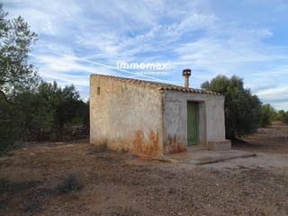 Residential Plot  16. Finca rústica en venta en xerta con possible conexion agua