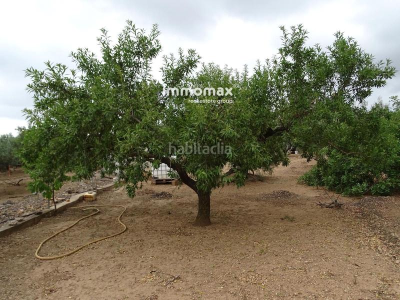 Foto 12c2524c-52fd-4f47-8e5e-21ddf6144bdb. Wohngrundstück in Xerta