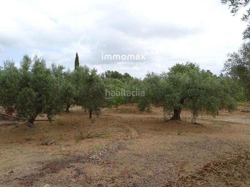 Foto 3ef220bb-5b32-4328-afa4-cc99c427b87f. Wohngrundstück in Xerta