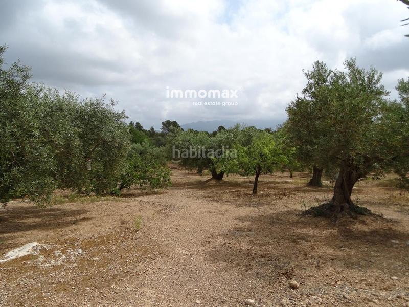 Foto 4fd61365-ff84-4b65-844d-7150c53da910. Wohngrundstück in Xerta