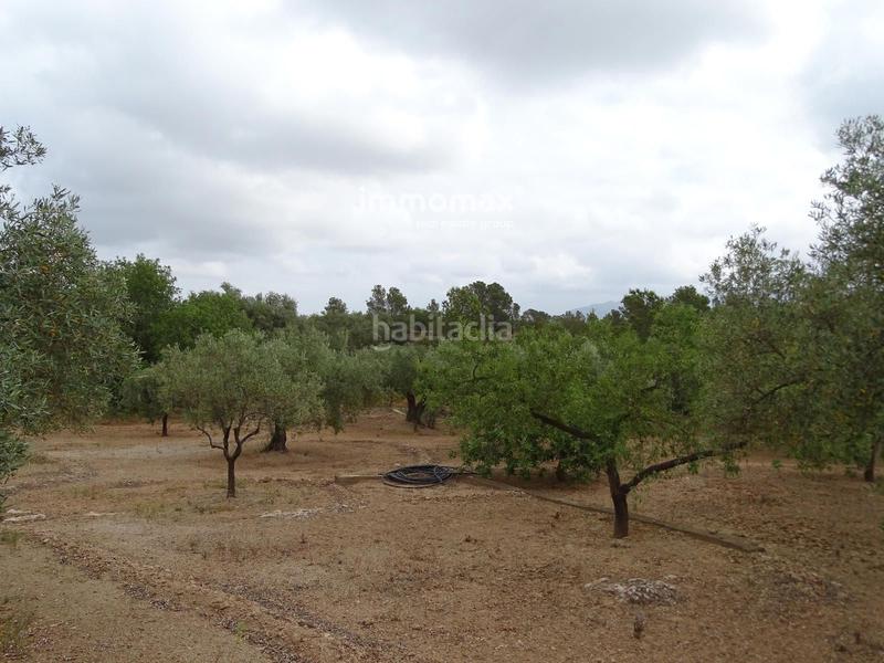 Foto 62ac7131-7206-4129-99c2-ae525a9eb803. Wohngrundstück in Xerta