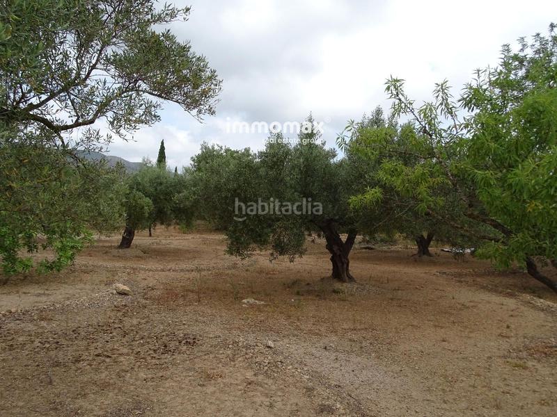 Foto c4aa04b9-9e24-4f32-98af-46ca2156d863. Wohngrundstück in Xerta