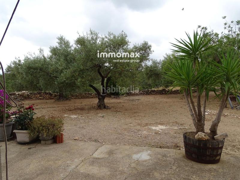 Foto df1502c5-3ec1-4ead-a86b-7d0b89080781. Wohngrundstück in Xerta