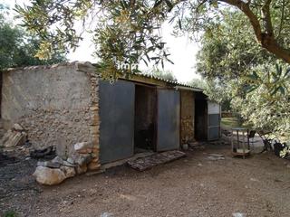 Residential Plot  14. Finca rústica en venta en xerta con possibilidad de conexión de