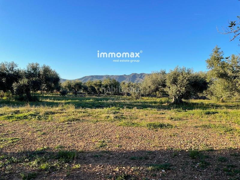 Foto 3a56c9b8-edea-4124-a05a-0bfbdcff3c2b. Finca rústica a Tivenys