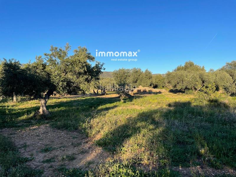 Foto 3fc2a990-54d6-416c-a3a5-e0db07dd8389. Finca rústica a Tivenys