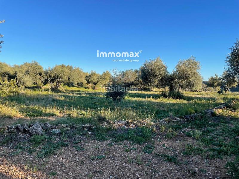 Foto c9a5e051-6023-4273-9eba-72ad703099dd. Finca rústica a Tivenys