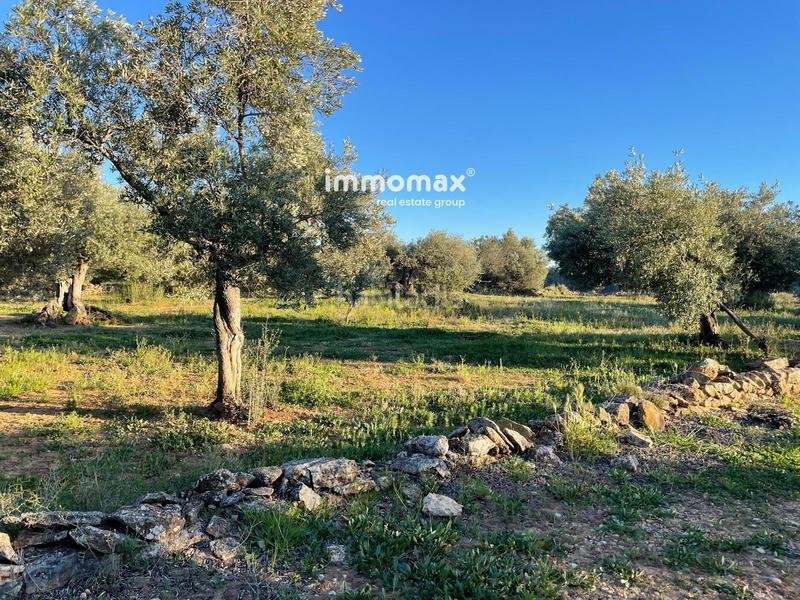 Foto cf1f3b04-11eb-4f09-96bb-6ed08fc655e0. Finca rústica a Tivenys