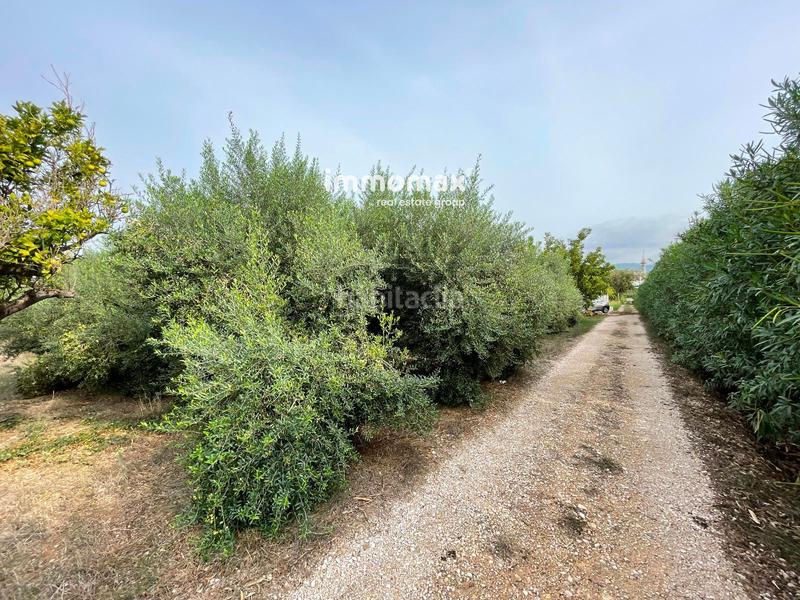 Foto 19cd4ae5-69f9-447e-b157-14a203f6f290. Terreny residencial a Centre Tortosa