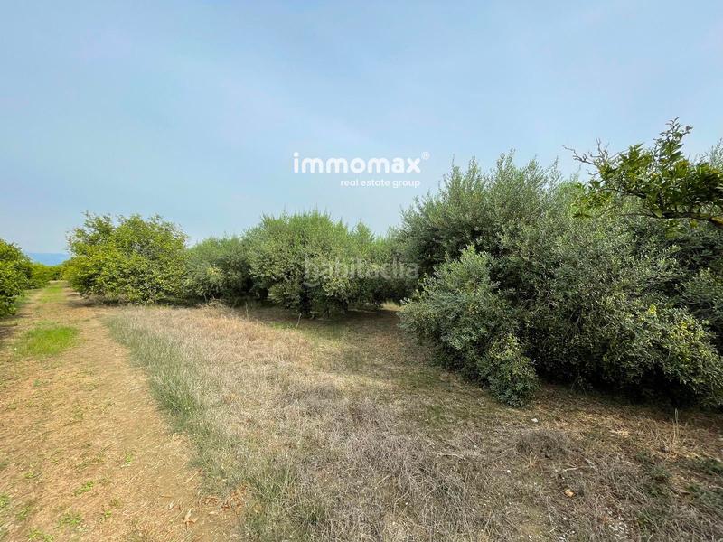 Foto e1b7ee34-394f-45f0-97be-3e6e12a77f52. Terreny residencial a Centre Tortosa