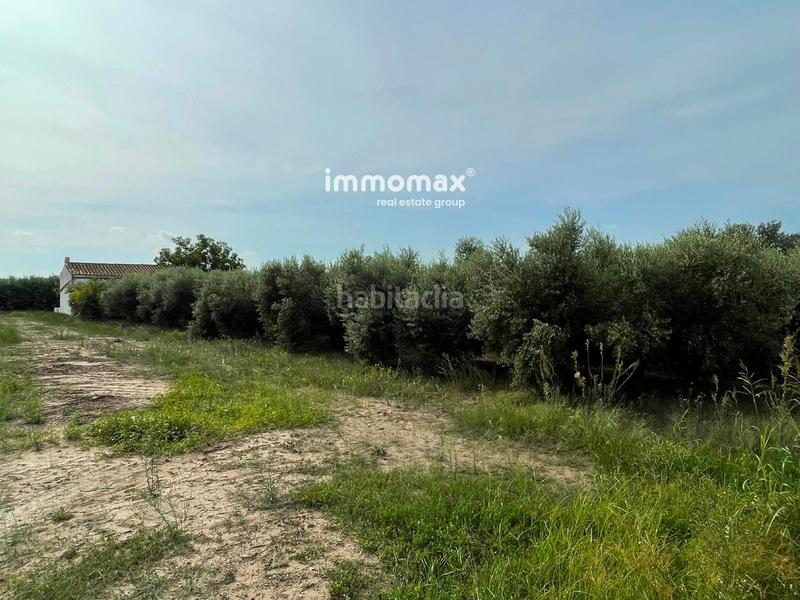 Foto ee2d6b9f-917e-4e1a-a9e6-8bfc64c803dd. Terreny residencial a Centre Tortosa