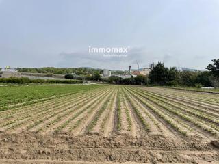 Landgut  127. Huerto en venta en tortosa