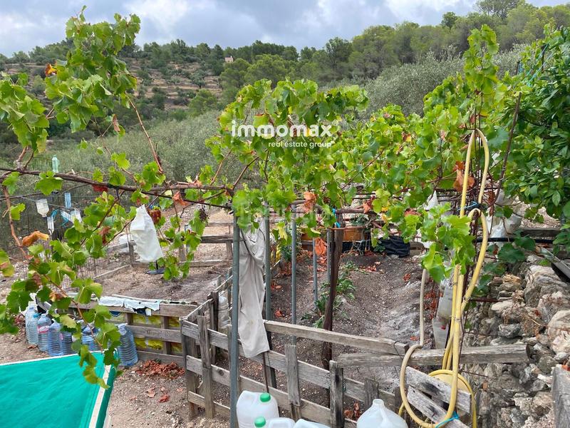 Foto 46255b01-5ee1-408f-8864-944d32522f71. Chalet con piscina in Bítem Tortosa