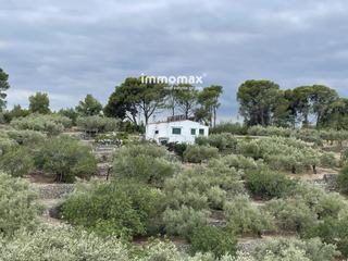Xalet  135. Chalet en venta en tortosa