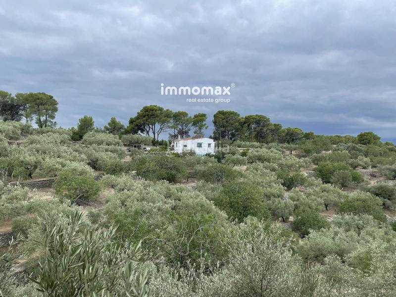 Foto f4177c9b-762f-4eef-9fbd-d889f204ac2c. Chalet con piscina in Bítem Tortosa