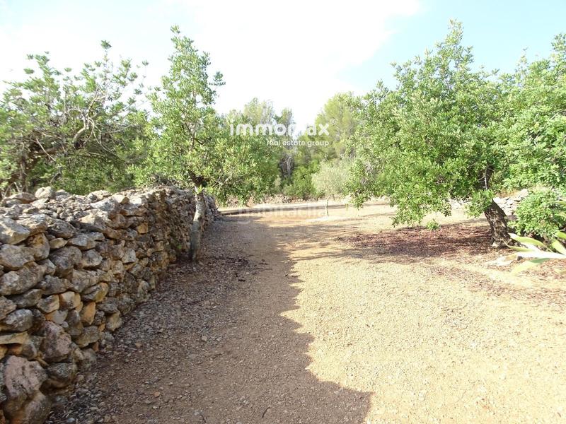 Foto 4714643b-2fac-4491-a134-03d76ac8783c. Finca rústica a Aldover