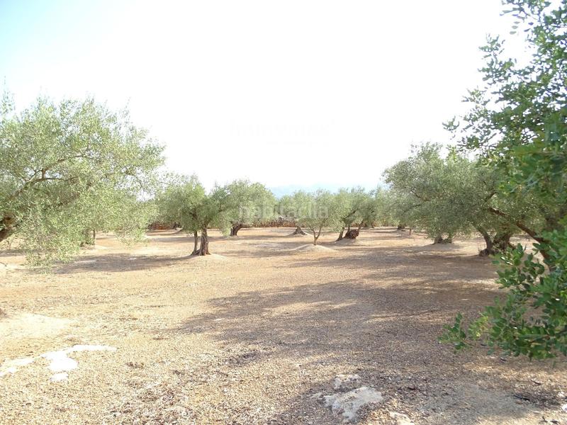 Foto a7e031d1-8d88-40bd-a506-46e62b467120. Finca rústica a Aldover