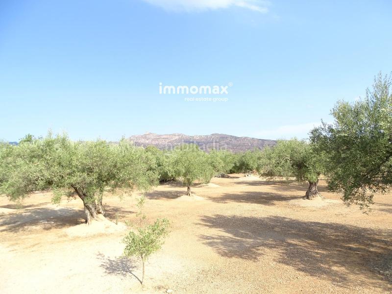 Foto b4f14352-f39f-4a26-8e01-c9ea5d7631bf. Finca rústica a Aldover