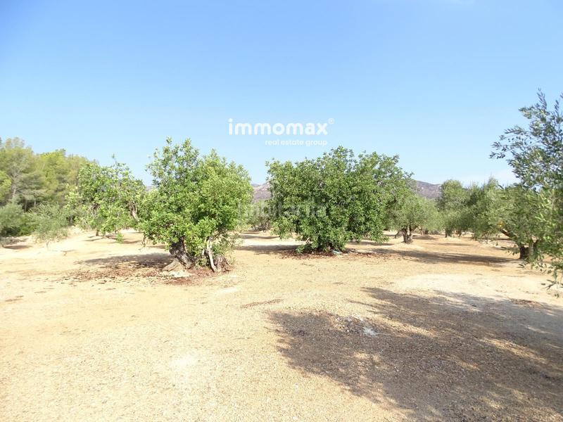 Foto b73efaae-09bf-4449-be6a-57355c1f6662. Finca rústica a Aldover