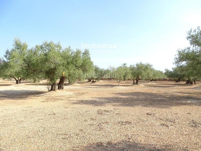 Foto fa583087-5c15-4395-8043-7b9788b89d64. Finca rústica a Aldover