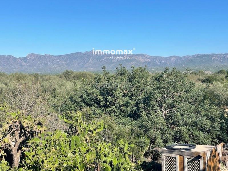 Foto 2de98c9f-5859-4336-b980-846bff972a64. Rural plot in Aldover