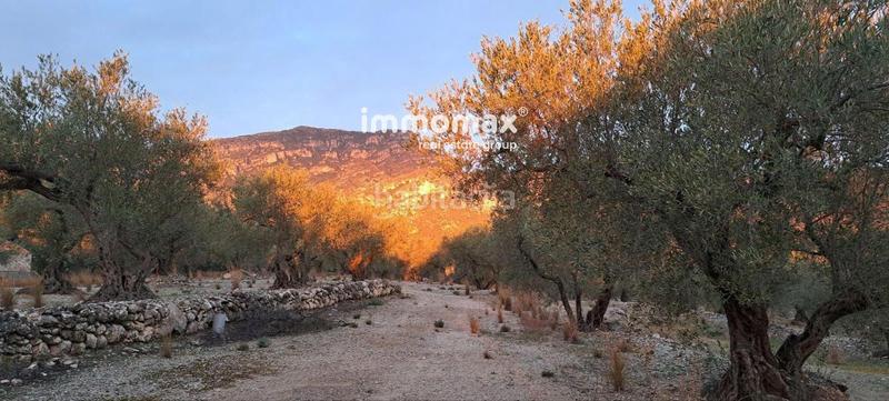 Foto cb985862-2e0d-4829-80aa-5a9ca5071d61. Terreny residencial a Roquetes