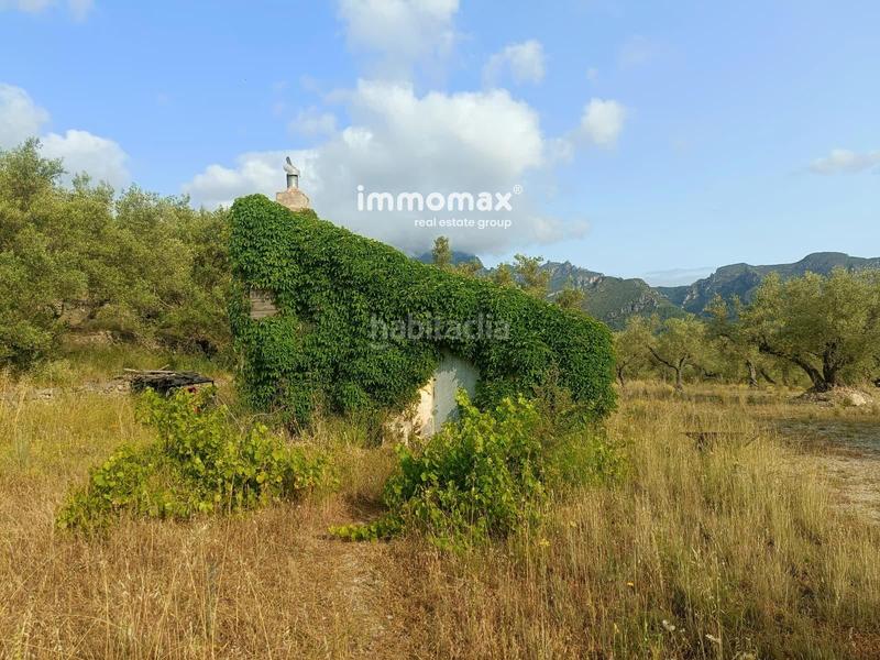 Foto ce717b0f-10a8-406f-8573-5ab8246424da. Terreny residencial a Roquetes