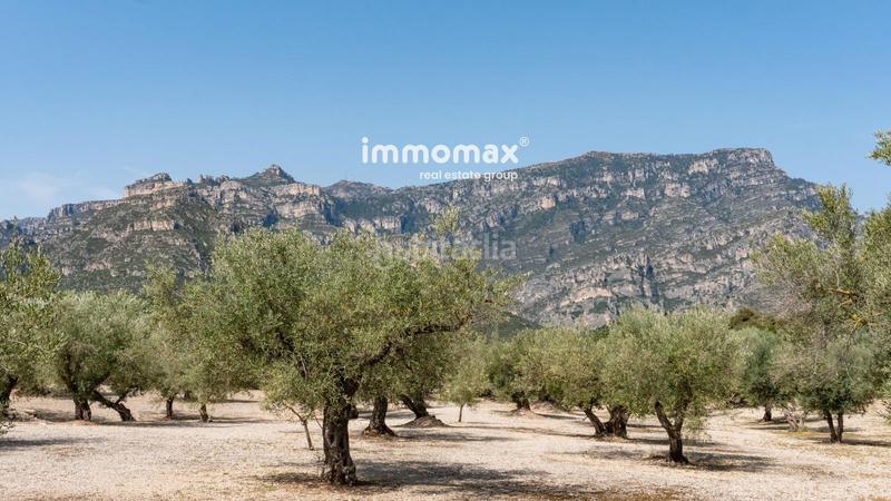 Foto a770339a-cad3-45c4-99de-f0830c65dccd. Terreno residenziale in Roquetes