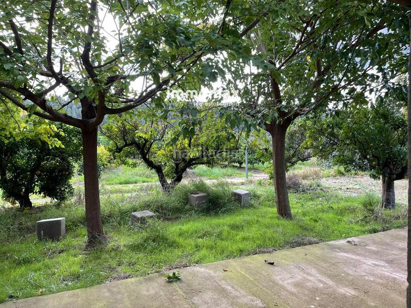 Foto 2adcc7b0-be83-471f-854c-e152bd299611. Terreny residencial a Xerta