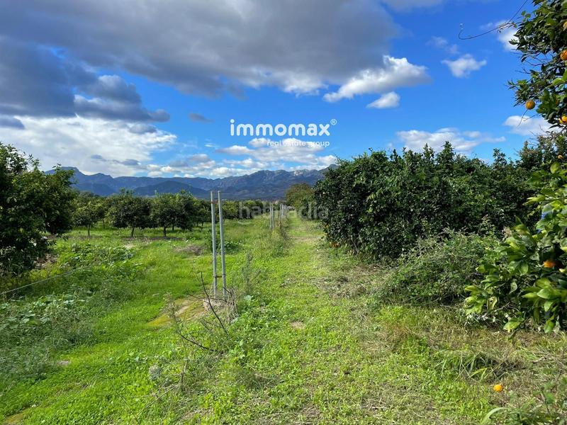 Foto 3475b16f-1ede-4cf2-bd06-90ce4e320594. Terreny residencial a Xerta