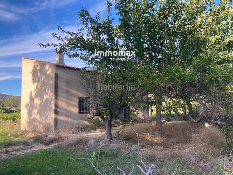 Foto 6395ad7b-fb92-43cf-8d0f-f6b51c9d0ccd. Terreny residencial a Xerta