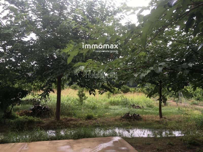 Foto 773940a4-47c5-4df1-b959-9528565af032. Terreny residencial a Xerta